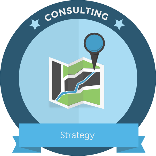 web consulting